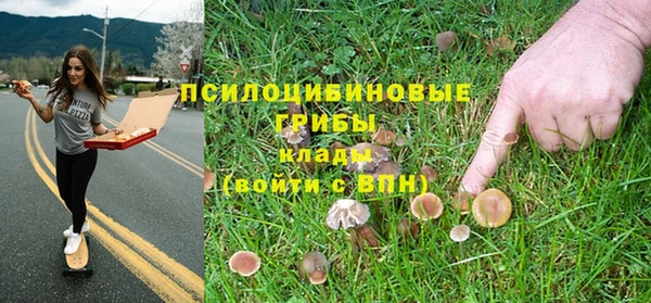 прущий лед Кулебаки