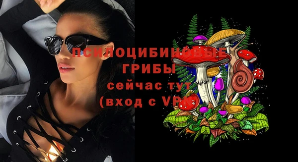 2c-b Абаза