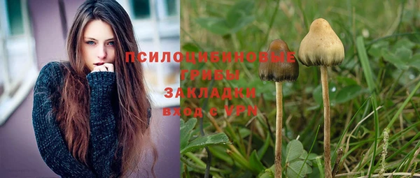 каннабис Алексин