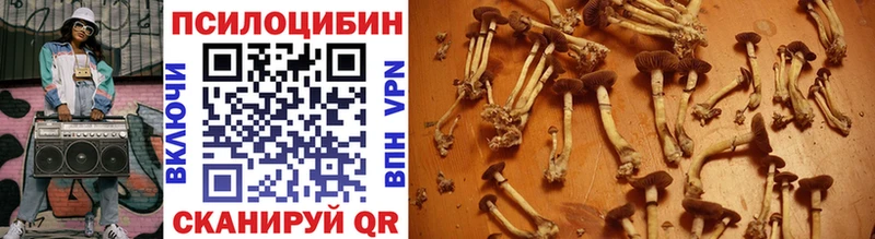 Галлюциногенные грибы Psilocybe наркошоп Ивдель